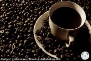 Picture of coffee cup sitting on beans